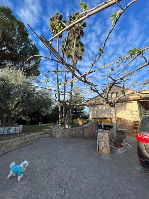 הוילה דלטברה Casa Parra מראה חיצוני תמונה